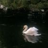 lana_der_ley2