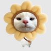 flowerss_katt