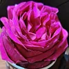 lura22_