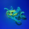 theo.cephalopod