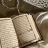 mai.ahmed4250