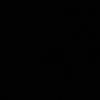 z2t1