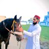 maliksulman922