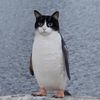 justahousecat