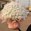hansn_rose