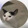nhnb.its
