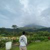 danisembiring01