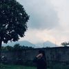 grassbirds_