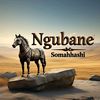 njabz91