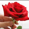 user8490332310897