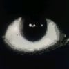 cwangkhamgmail.com