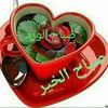 user22339459751368