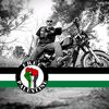 sheikhali7908