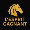 lesprit.gagnant225