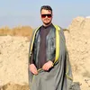al_v313