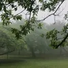 idi_nahu245