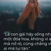 ntctdn
