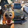 jeeps_n_wieners