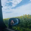 anisiianec