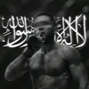 ti_ll.3