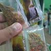 zoo_mc
