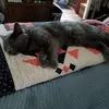 nana_helen49