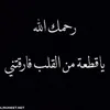 dy49axwuy7rm