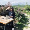 andinii