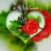 usermqmgjtp9q1
