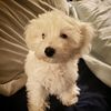 lifewithmoxie1