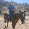 cowboy.shayne