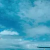 videosvibed