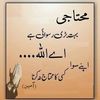 shizaahmadkhan977