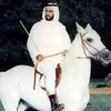 s3eed9291
