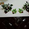 subhan_112452