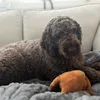 lrconnor