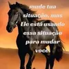 leosoares7420