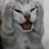 grei._