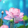 huong_nhan1991