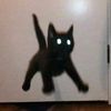 kitten_in_black