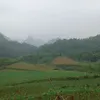 neyuhgnouhp218