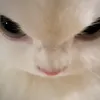 nhimyeuoi_08