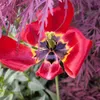meikelbluewin.ch