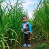a.mick.akha