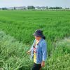 dapit481200