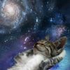 mewtwik_