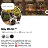 Duy Decal