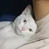 itsxeexan