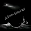 AnlamiManidar
