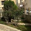 loody_62